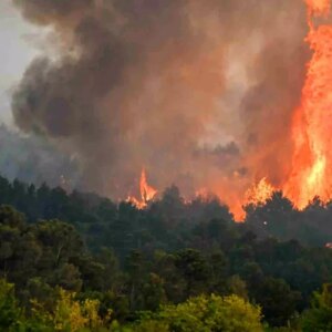 fransada tarihin en buyuk orman yangini 16 bin hektar kule dondu z9QgGjWp