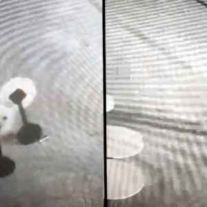 isletmenin masalarini deviren alkollu kisi guvenlik kameralarina ozur diledi Wd1fGyGz