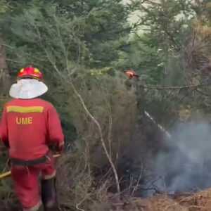 ispanyol ordusu leondaki orman yanginlariyla mucadele ediyor IPb71ny7