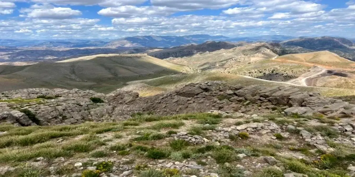 cudi dagina sefine camisi Mh16eAXE