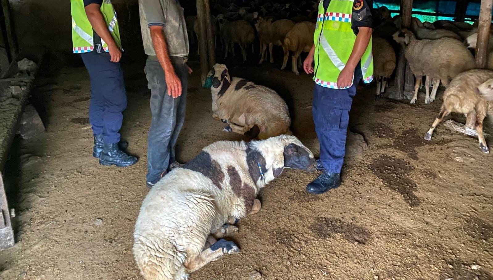 kirsehirde calinti kucukbas operasyonu hem karadan hem dron ile arandi cIcjRptY