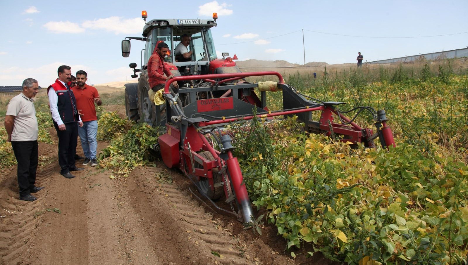 kuru fasulyenin hasadina baslandi UE6YivAb