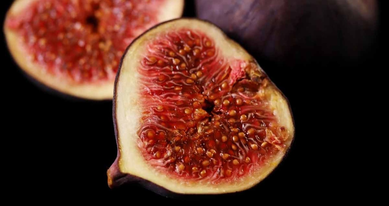 yedigimiz incirlerin icinde gercekten esek arisi var mi bilim merak edilen soruyu yanitladi v96bsvcq