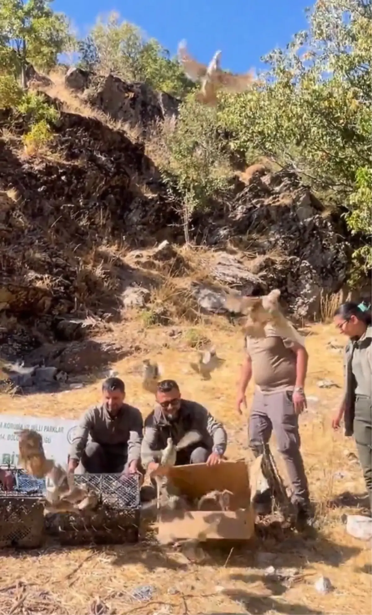 bitliste 90 kinali keklik dogaya salindi 5BPWdh78