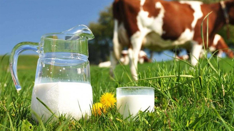 inekler kesime gidiyor uretim daraliyor sute zam mi gelecek 4jyAMccT.jpg