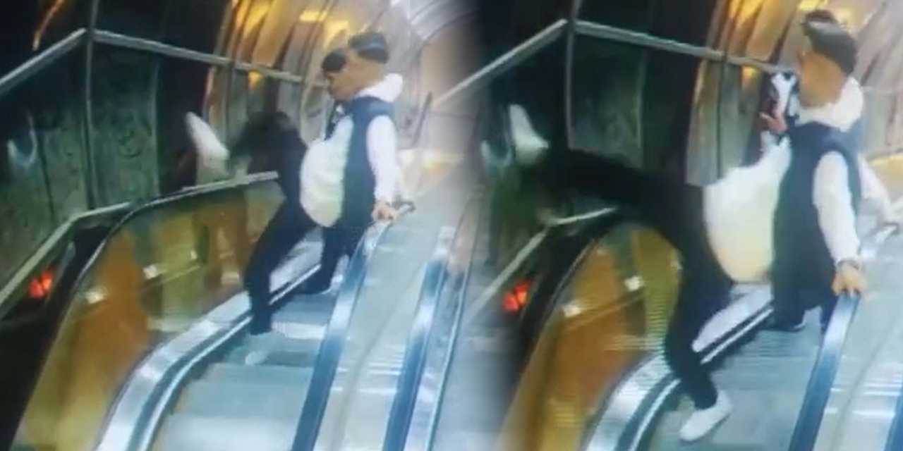 izmirde akilalmaz olay kamu malina tekme ve yumruklarla zarar verdiler zZRH21l4.jpg