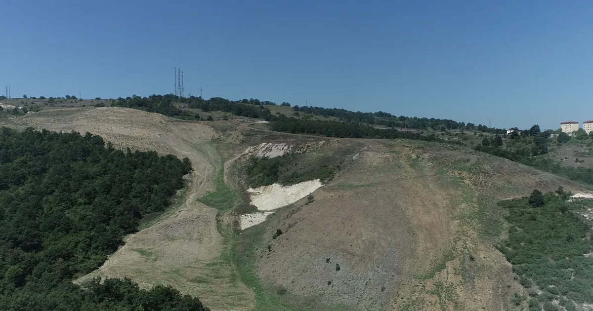 kandira akcakeseye 4500 agaclik dogal orman 3UfmGGrt.webp