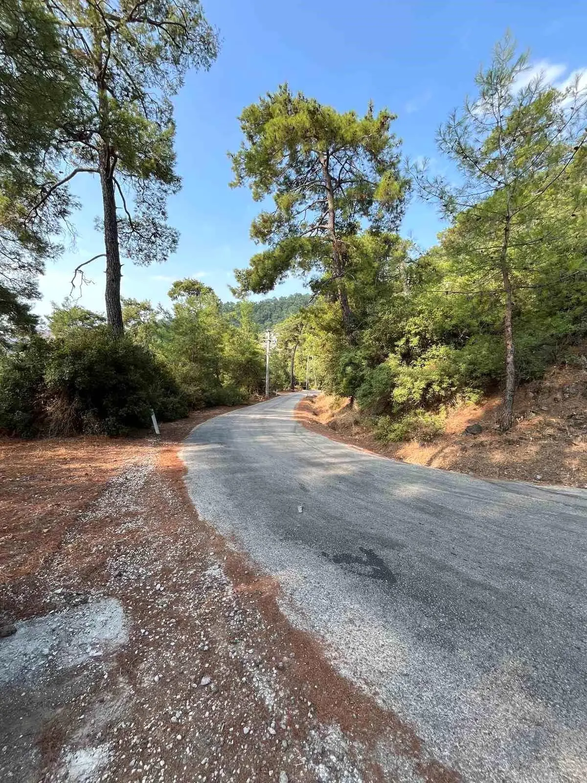 marmariste yangin onleme calismalari yayginlasirken VI8t63Ls