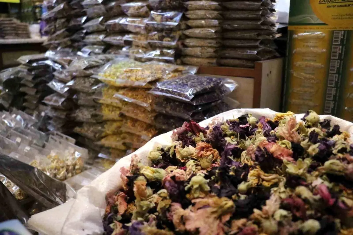 sakaryada soguk alginligina karsi aktarlara yogun ilgi rIjdQBTC