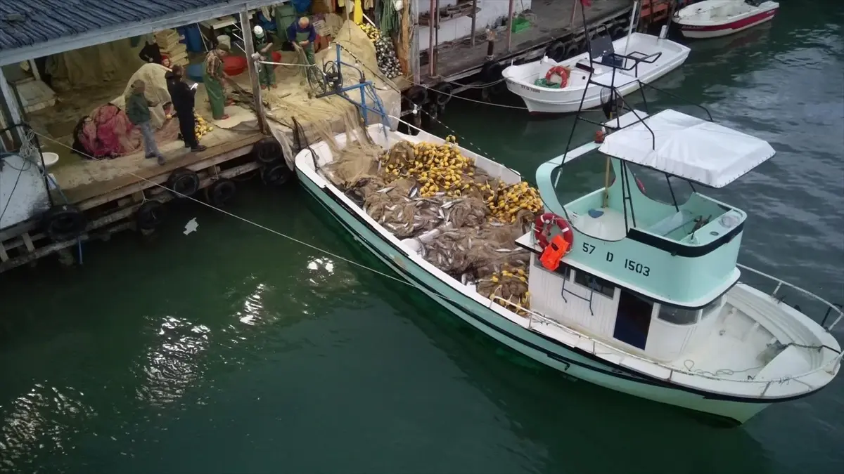 turkelide palamut bollugu EZDFCybk.jpg