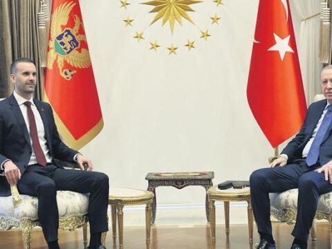 Avrupa sutunu guclenmeli vI9ks8eY